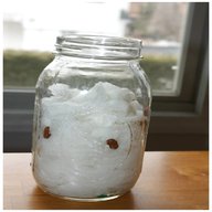 cotton wool jar for sale