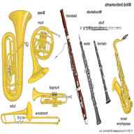 wind instrument for sale