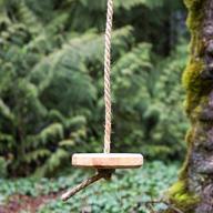 tree swing for sale
