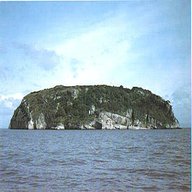 steep holm for sale