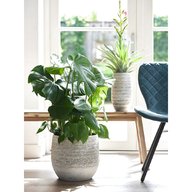 large indoor plant pots for sale