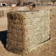 square large hay bales for sale