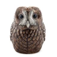 quail tawny owl for sale
