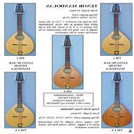 tenor mandola for sale