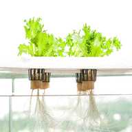 complete hydroponic systems for sale