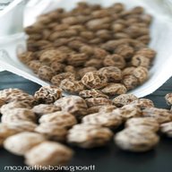 tiger nuts for sale