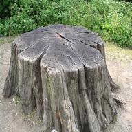 tree stump for sale
