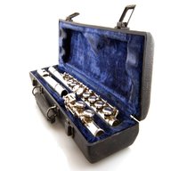 flute carry case for sale