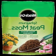 sphagnum peat moss for sale