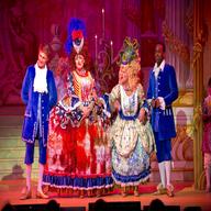 pantomime costumes for sale