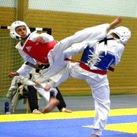 taekwondo for sale