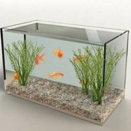 acrylic fish tanks for sale