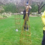 willow weaving for sale