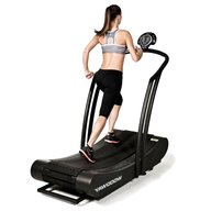 woodway treadmill for sale