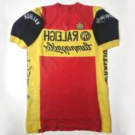 raleigh jersey for sale