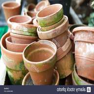 old plant pots for sale