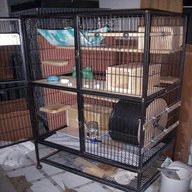 ferret homes for sale