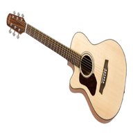 walden guitar for sale