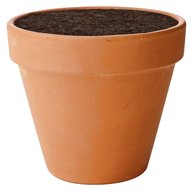 plant pot for sale