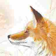 fox painting for sale