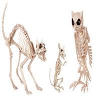 animal skeletons for sale