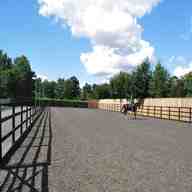 horse arena for sale