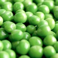 pea seeds for sale