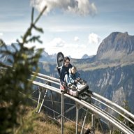 alpine coaster for sale