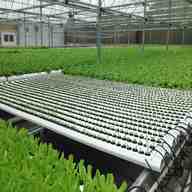 hydroponic system for sale