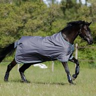 6ft 3 turnout rug for sale