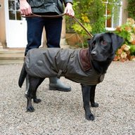 dog wax jacket for sale