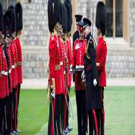 grenadier guards for sale