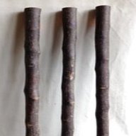 blackthorn shanks for sale