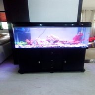 3 foot fish tank for sale