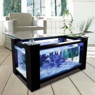 coffee table aquarium for sale