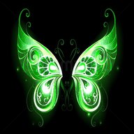 green fairy wings for sale