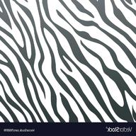 zebra skin for sale
