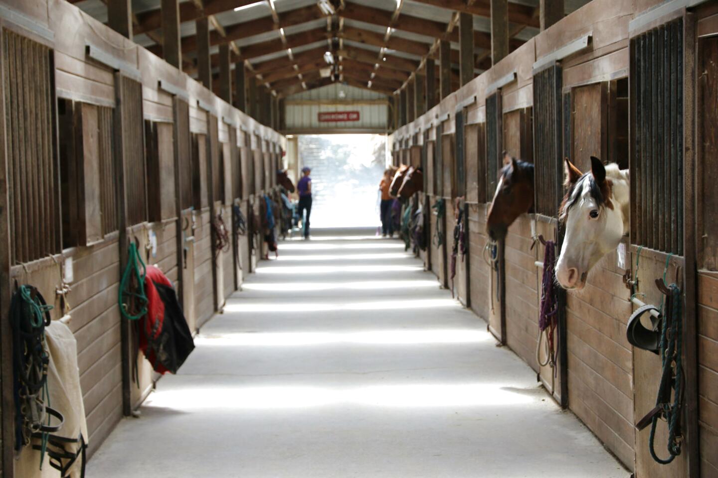 Second hand horse stables for sale