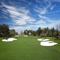 bay hill golf clubs for sale