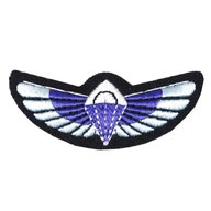 sas wings for sale