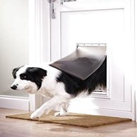 dog flap for sale