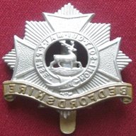 bedfordshire regiment for sale