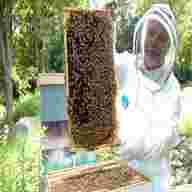 beekeeping for sale