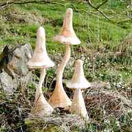 wooden mushrooms toadstools for sale