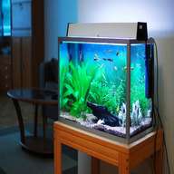home aquarium for sale