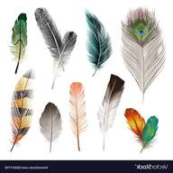 bird feathers for sale
