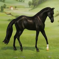 black beauty horse for sale