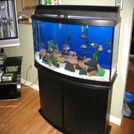 bow front aquarium fish tank for sale