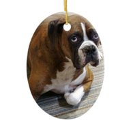 boxer dog ornament for sale