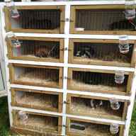 breeder hutch for sale
